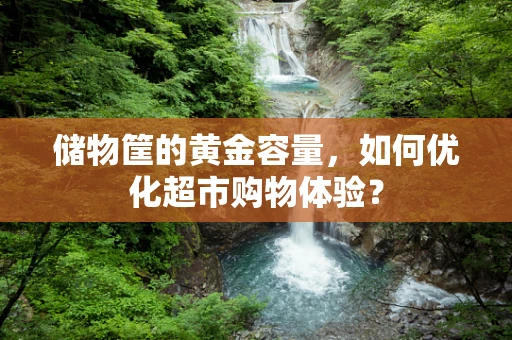 储物筐的黄金容量，如何优化超市购物体验？