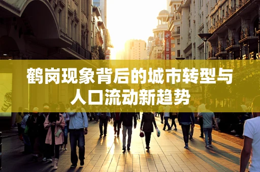 鹤岗现象背后的城市转型与人口流动新趋势