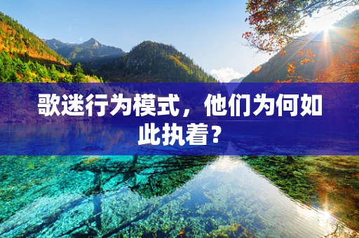 歌迷行为模式，他们为何如此执着？