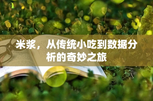 米浆，从传统小吃到数据分析的奇妙之旅