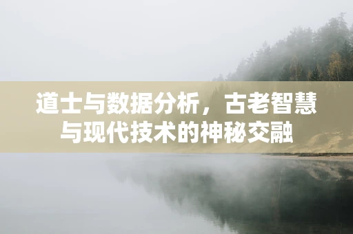道士与数据分析，古老智慧与现代技术的神秘交融