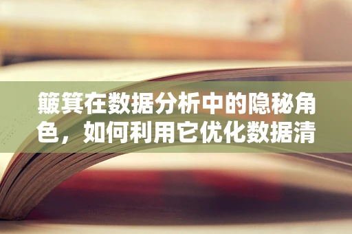簸箕在数据分析中的隐秘角色，如何利用它优化数据清洗？