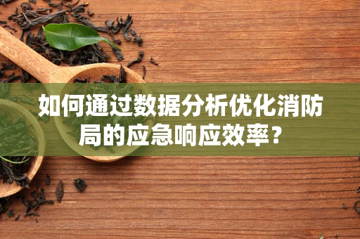 如何通过数据分析优化消防局的应急响应效率？