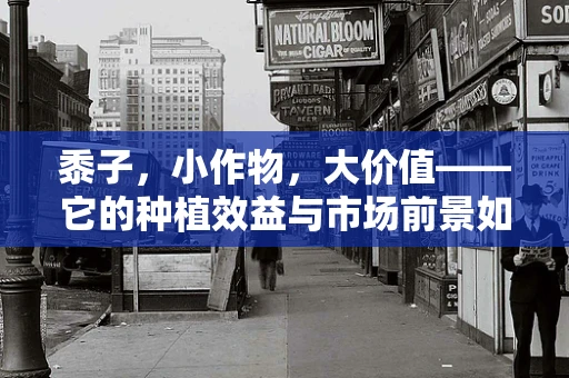 黍子，小作物，大价值——它的种植效益与市场前景如何？