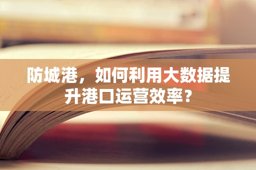 防城港，如何利用大数据提升港口运营效率？