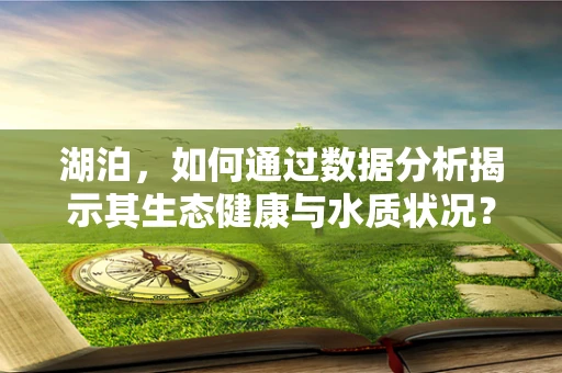 湖泊，如何通过数据分析揭示其生态健康与水质状况？
