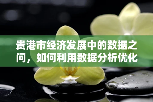 贵港市经济发展中的数据之问，如何利用数据分析优化产业结构？