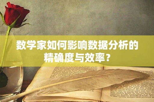 数学家如何影响数据分析的精确度与效率？