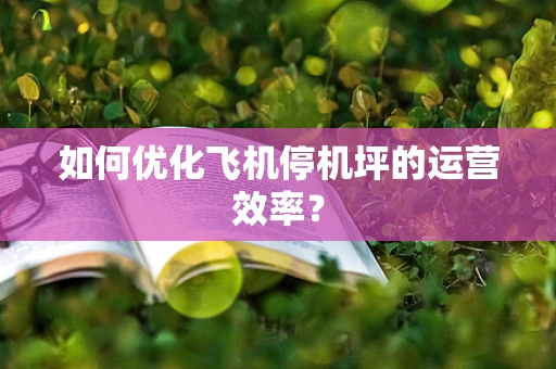 如何优化飞机停机坪的运营效率？