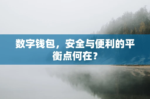 数字钱包，安全与便利的平衡点何在？