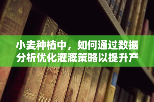 小麦种植中，如何通过数据分析优化灌溉策略以提升产量？