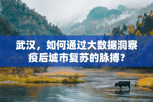 武汉，如何通过大数据洞察疫后城市复苏的脉搏？