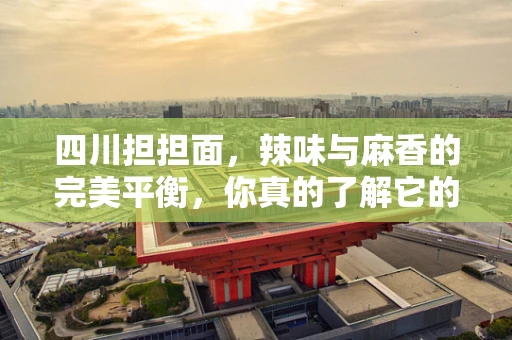 四川担担面，辣味与麻香的完美平衡，你真的了解它的起源与制作秘诀吗？