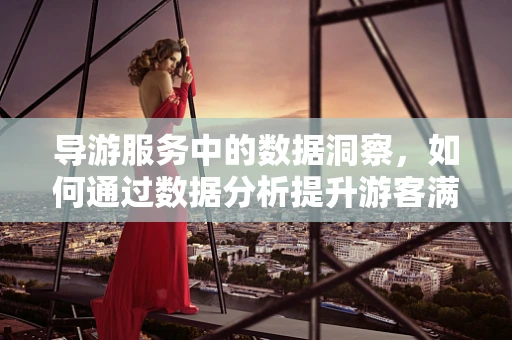 导游服务中的数据洞察，如何通过数据分析提升游客满意度？