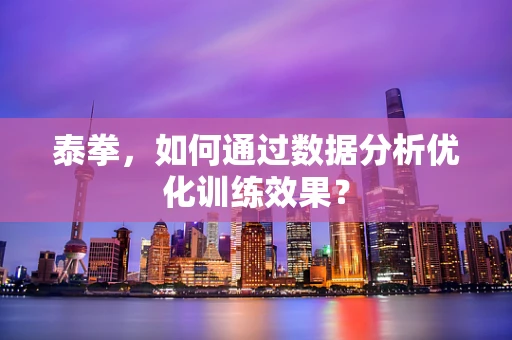 泰拳，如何通过数据分析优化训练效果？