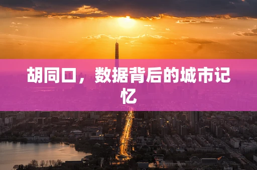 胡同口，数据背后的城市记忆