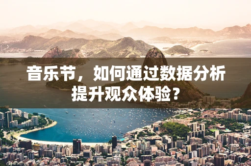 音乐节，如何通过数据分析提升观众体验？