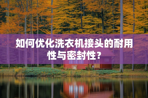如何优化洗衣机接头的耐用性与密封性？