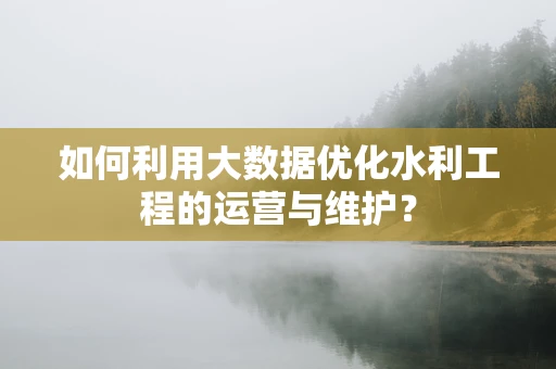 如何利用大数据优化水利工程的运营与维护？