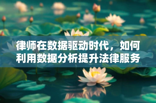 律师在数据驱动时代，如何利用数据分析提升法律服务？