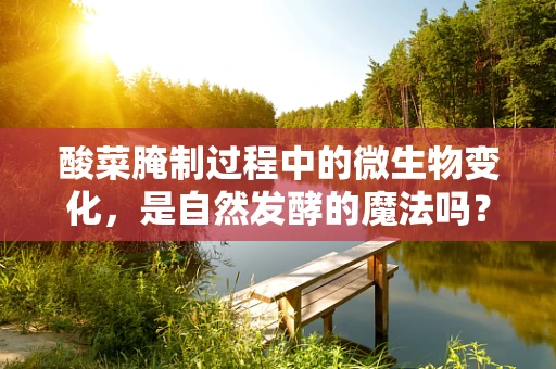 酸菜腌制过程中的微生物变化，是自然发酵的魔法吗？