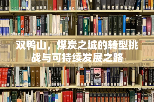 双鸭山，煤炭之城的转型挑战与可持续发展之路