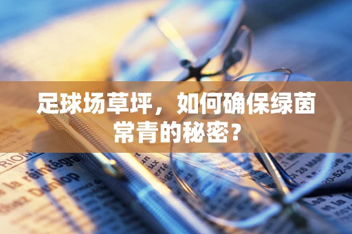 足球场草坪，如何确保绿茵常青的秘密？
