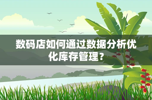 数码店如何通过数据分析优化库存管理？