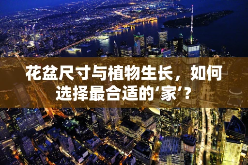 花盆尺寸与植物生长，如何选择最合适的‘家’？
