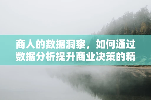 商人的数据洞察，如何通过数据分析提升商业决策的精准度？