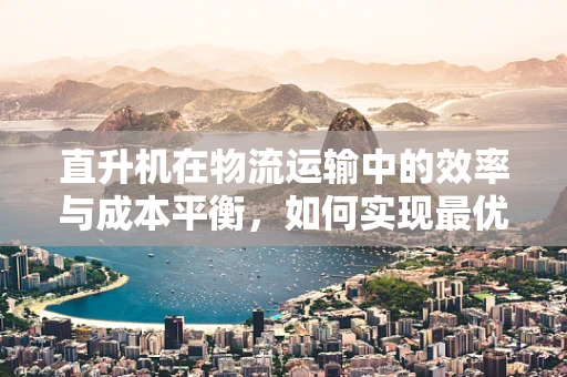 直升机在物流运输中的效率与成本平衡，如何实现最优配置？