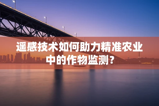 遥感技术如何助力精准农业中的作物监测？