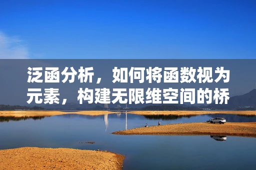 泛函分析，如何将函数视为元素，构建无限维空间的桥梁？