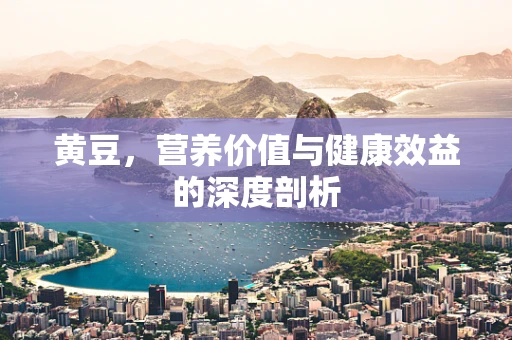 黄豆，营养价值与健康效益的深度剖析