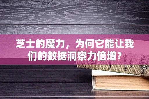 芝士的魔力，为何它能让我们的数据洞察力倍增？