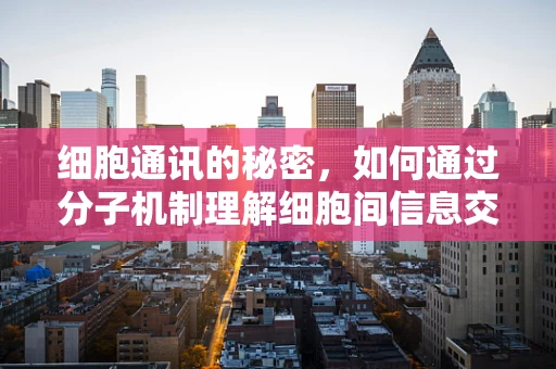 细胞通讯的秘密，如何通过分子机制理解细胞间信息交流？
