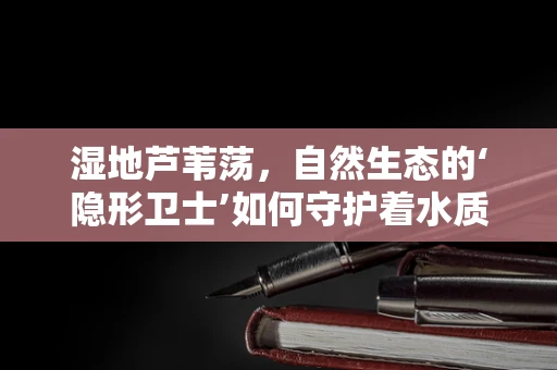 湿地芦苇荡，自然生态的‘隐形卫士’如何守护着水质的秘密？