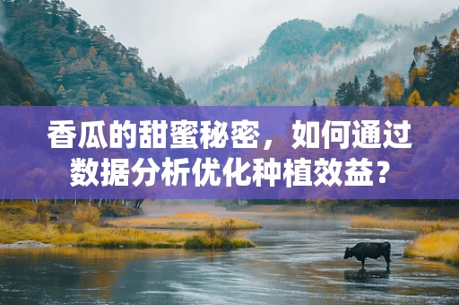 香瓜的甜蜜秘密，如何通过数据分析优化种植效益？