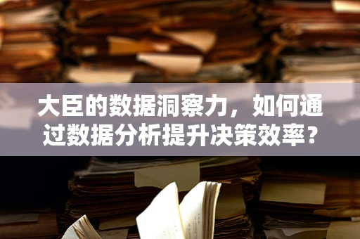 大臣的数据洞察力，如何通过数据分析提升决策效率？