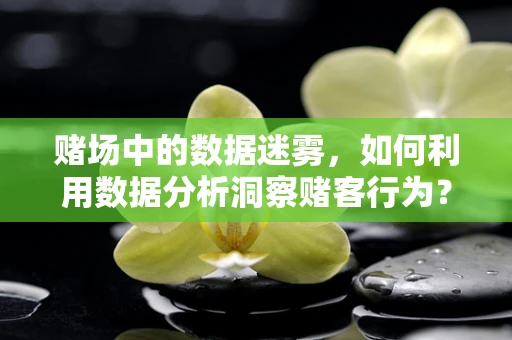 赌场中的数据迷雾，如何利用数据分析洞察赌客行为？