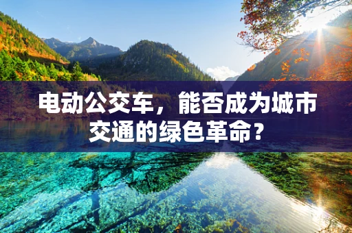 电动公交车，能否成为城市交通的绿色革命？