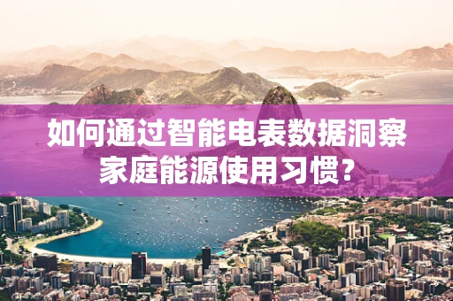 如何通过智能电表数据洞察家庭能源使用习惯？
