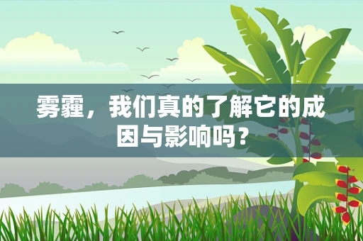 雾霾，我们真的了解它的成因与影响吗？