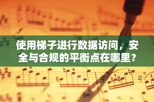 使用梯子进行数据访问，安全与合规的平衡点在哪里？
