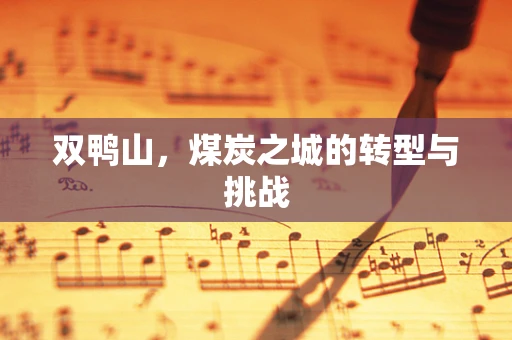 双鸭山，煤炭之城的转型与挑战