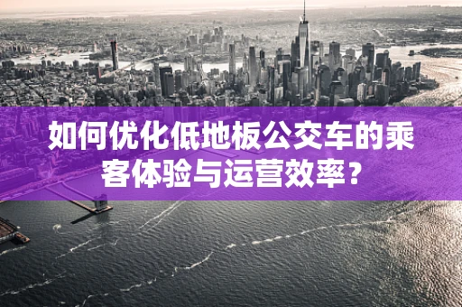 如何优化低地板公交车的乘客体验与运营效率？