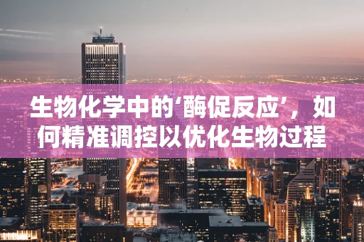 生物化学中的‘酶促反应’，如何精准调控以优化生物过程？