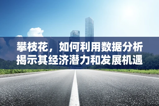 攀枝花，如何利用数据分析揭示其经济潜力和发展机遇？