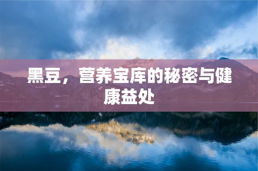 黑豆，营养宝库的秘密与健康益处