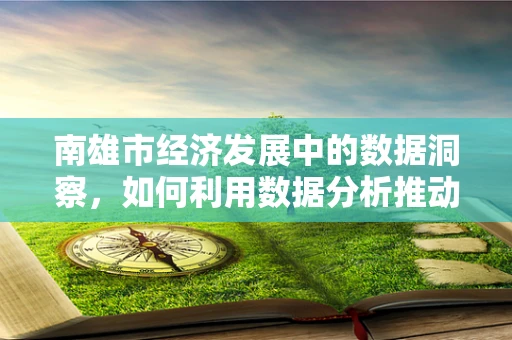 南雄市经济发展中的数据洞察，如何利用数据分析推动地方产业升级？